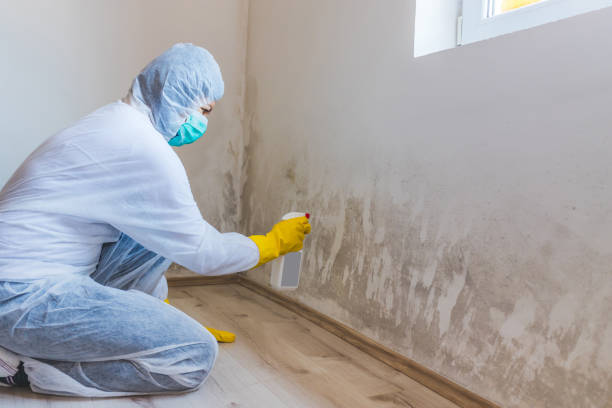 Commercial Mold Remediation assessment for commercial property in Englewood